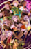create a poster for your anime