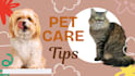 provide your pet care and veterinary support services