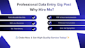 professional support for data entry, excel and typing work