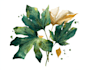 hand paint botanical illustrations