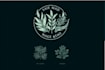 create hand drawn botanical floral logo design