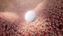 create professional biotechnology and scientific 3d animation