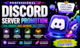 professionally promote your discord server for real growth