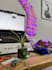 create a iot system with full front and backend