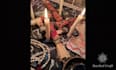 do strong hex and black magic removal ritual plus protection