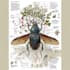 draw a scientific illustration