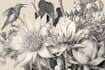 draw a botanical illustration