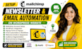 setup mailchimp  newsletter with wordpress wix shopify