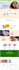convert figma, PSD, xd, sketch to wordpress using elementor pro