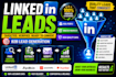 provide linkedin b2b leads, email leads and data enrichment