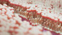 create professional 3d biotech pharmaceutical and medical animation video