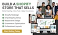 do german shopify website design, redesign germany shopify website dropshipping