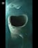 write about the deep sea discovery that terrified scientists