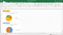 do expert data analysis, excel dynamic tables, and charts