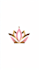 luxury pink, gold crown