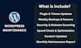 do wordpress maintenance backup security scan and speed optimization
