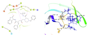do molecular docking, cadd, and bioinformatics analysis