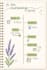 make custom habit trackers and journal templates