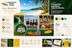 create professional brand moodboards and visual concepts