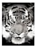 make creative digital art , mixed medias and custom illustrations