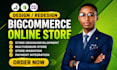 bigcommerce store, big cartel store design, ecwid store setup, ecommerce website