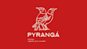 develop your brands logo design