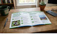 design professional brochure design , bifold, trifold
