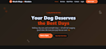 build a responsive modern website