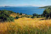 landscape oil painting art