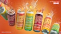 branding, packaging, develop new logo with visual entity