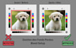 do technical prepress and make your file print ready