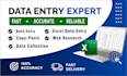 do excel data entry and professional data formatting services