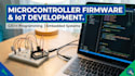 program microcontrollers, embedded c firmware, and iot applications