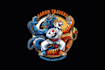 create a custom sports team logo design