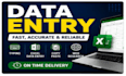 do fast and accurate data entry and typing work