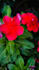 provide nature photography images