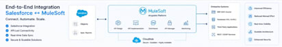 develop, customize and integrate salesforce and mulesoft apis
