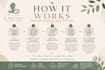create a personalised wellbeing plan