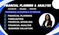 do financial analysis and financial forecasting, bookkeeping