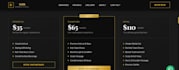 create professional business websites