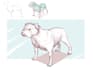 create detailed concept sketches and technical illustrations
