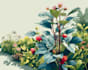 hand paint botanical illustrations