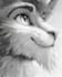 create custom furry character art and anthro illustrations