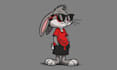 fast embroidery digitizing emb dst