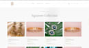 build responsive websites applications