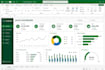 design a professional and interactive excel dashboard