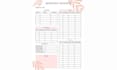 create custom weekly budget spreadsheet paycheck and debt tracker