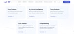 build fast professional website and ai websites