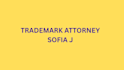 be your US licensed attorney for your trademark application