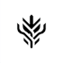create custom business logo design and brand identity